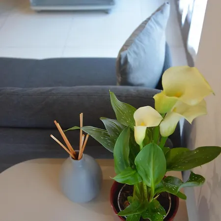 San Pietro Apartment Savigliano