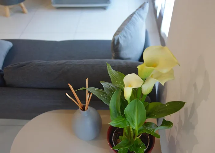 San Pietro Apartment Savigliano